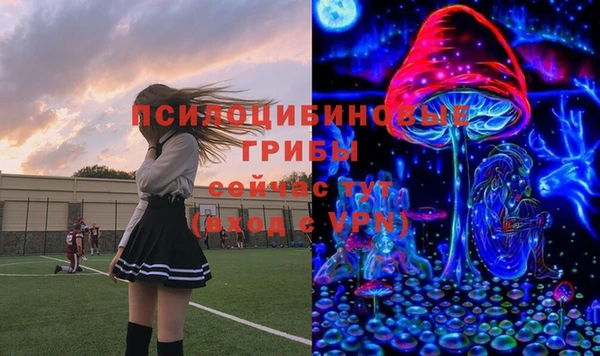 мяу мяу мука Карталы