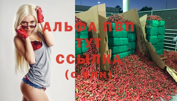 дмт Хадыженск