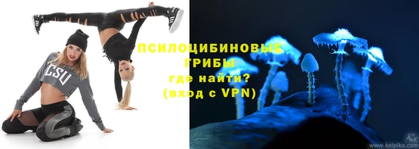 гидра Каменск-Шахтинский