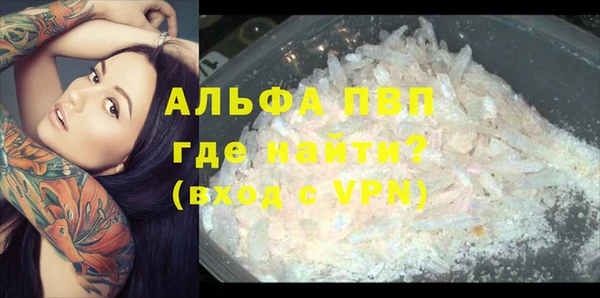 ПСИЛОЦИБИНОВЫЕ ГРИБЫ Фурманов
