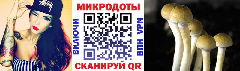 Галлюциногенные грибы MAGIC MUSHROOMS  Раменское 